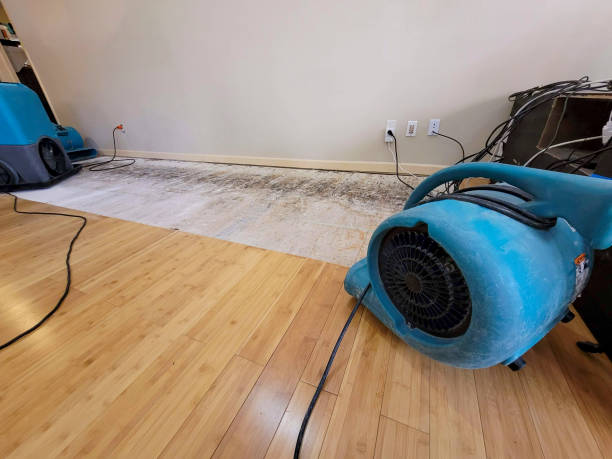 Reliable Basement Flood Cleanup contractor in Houston, PA by Hirex Water Damage