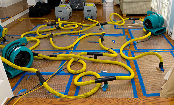 Professional Basement Flood Cleanup technician working in Houston, PA